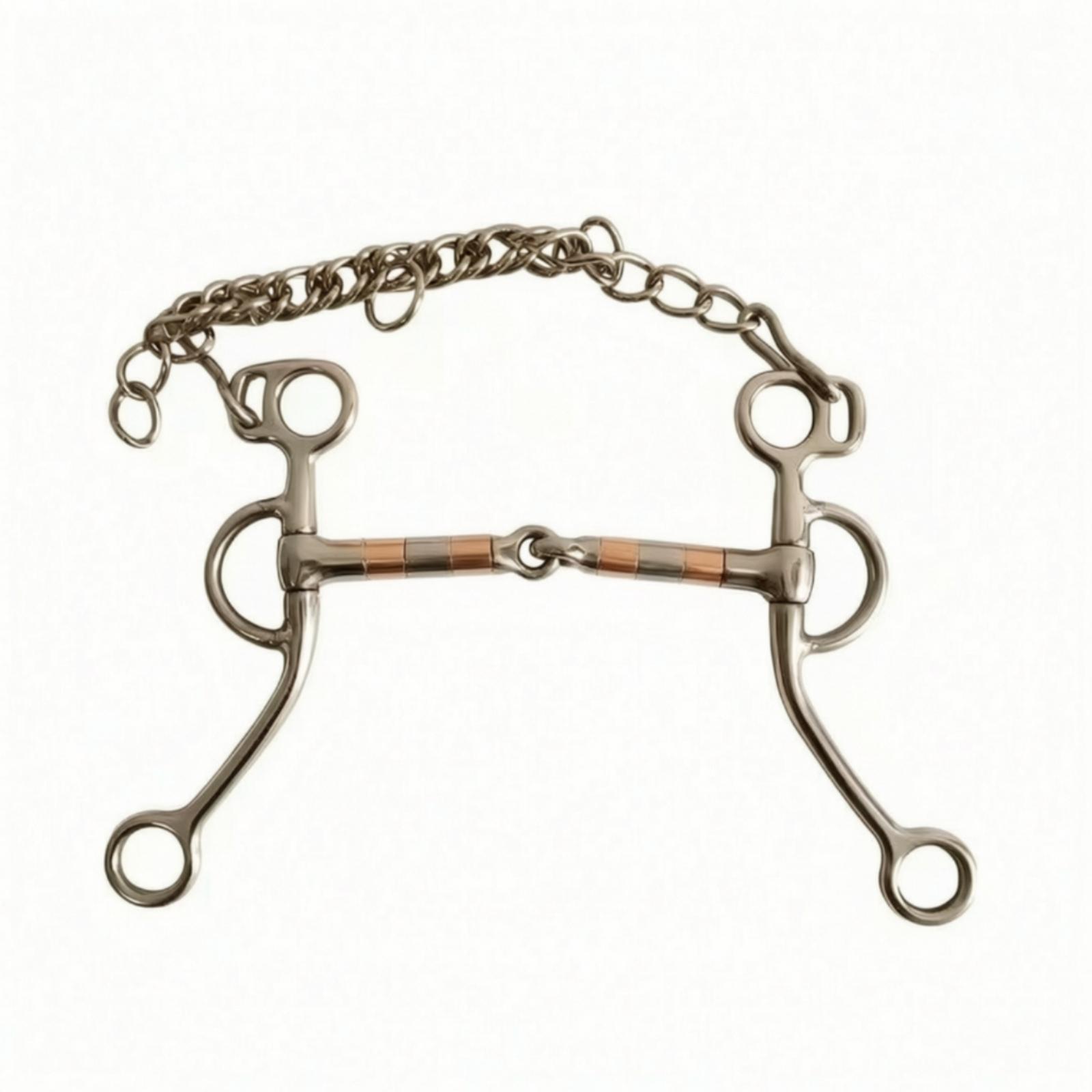 Horse Bit with Curb Chain Stai - огляд і ціна Woodworking Horse