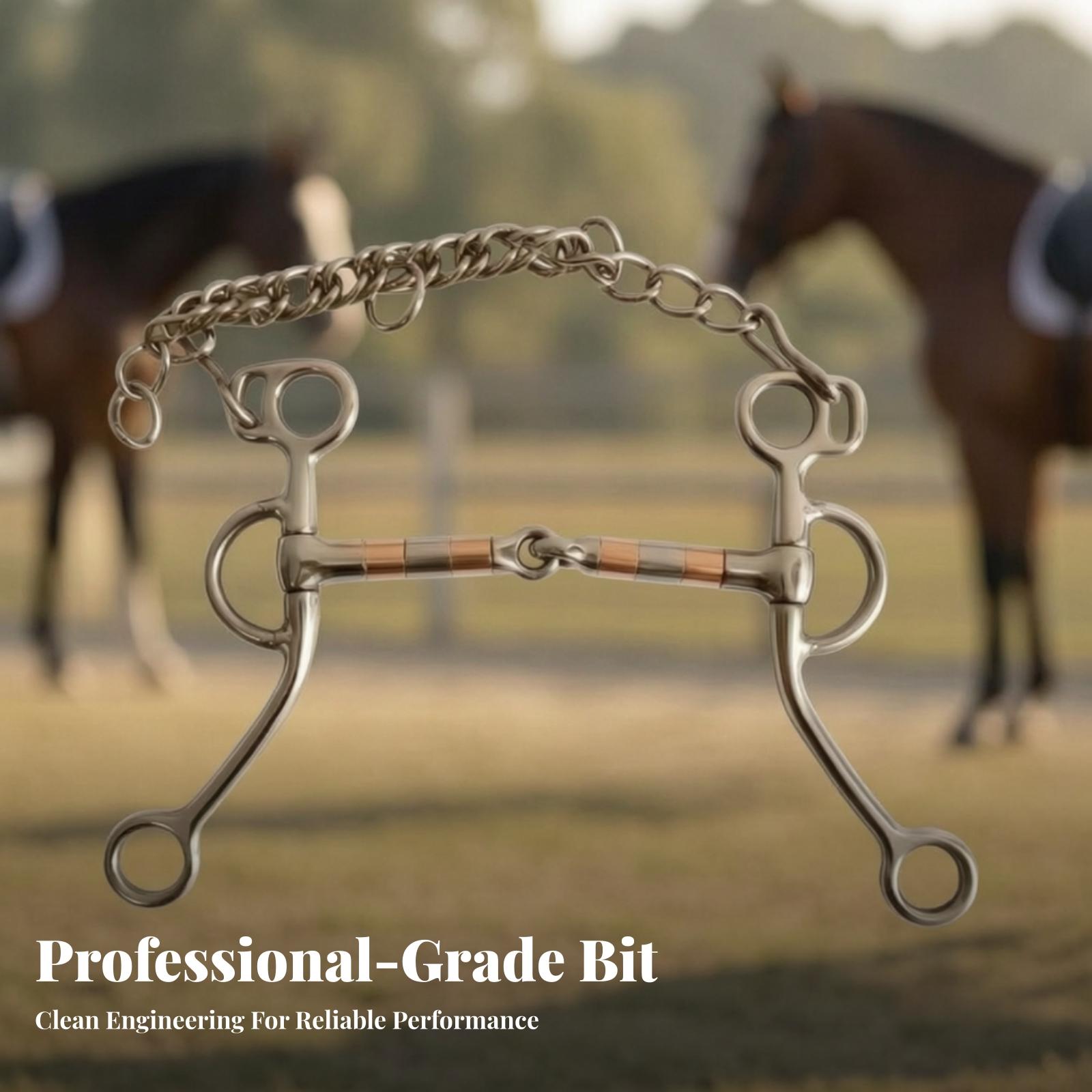 Horse Bit with Curb Chain Stai - огляд і ціна Woodworking Horse