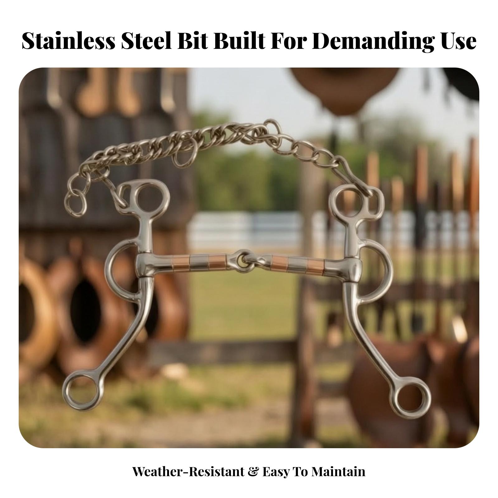 Horse Bit with Curb Chain Stai - огляд і ціна Woodworking Horse