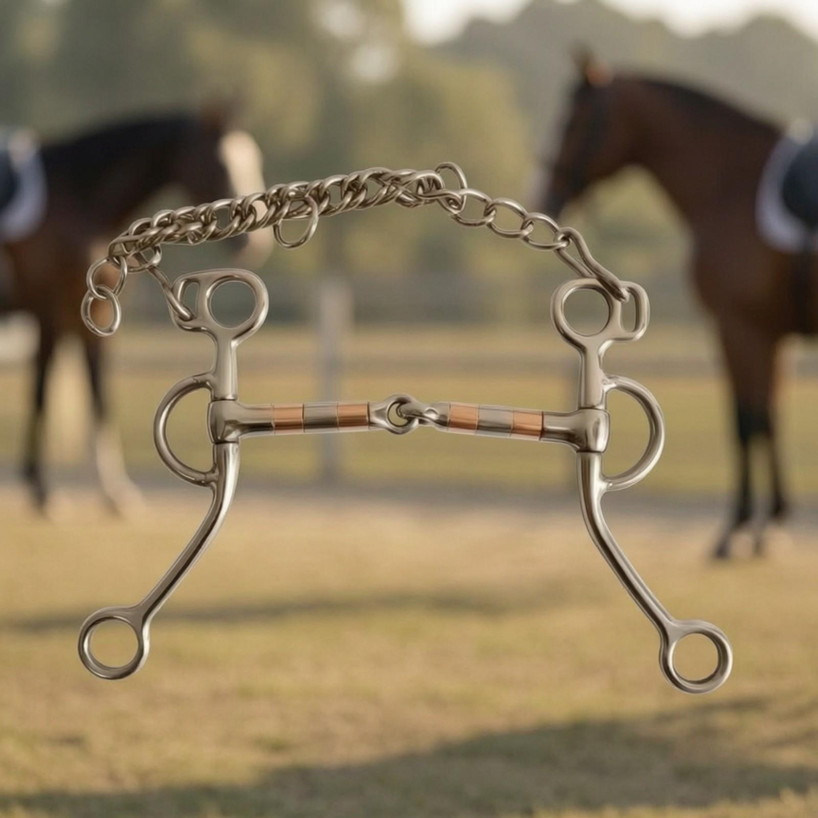 Horse Bit with Curb Chain Stai - огляд і ціна Woodworking Horse